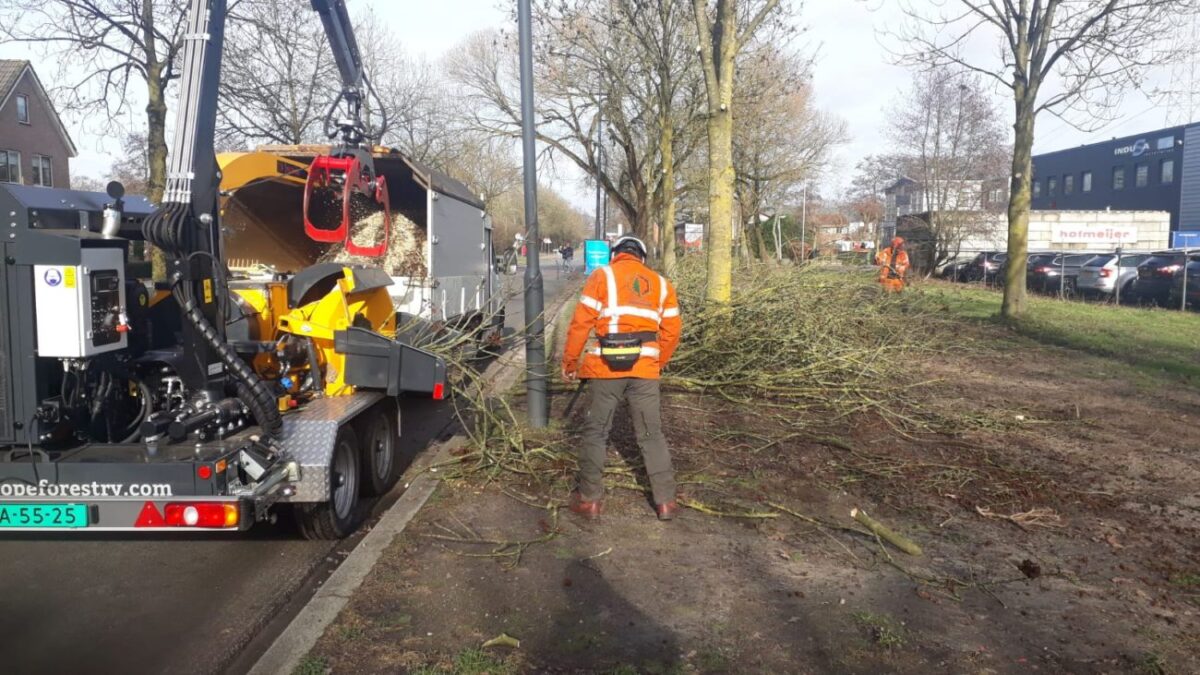 Europe Forestry -  Chipper EC 640 Tilhengermontert - Diesel - Bilde 2